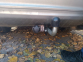 Фаркоп стандартный MITSUBISHI Galant (2004-2012) 1