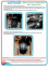 Захист КПП BMW F30, F32, F34, F36 (2012-2019) 2,0; 2,0D задній привід 2