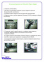 Фаркоп стандартный MITSUBISHI Pajero Wagon 3 (2000-2006) 1