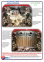 Защита двигателя и КПП ALFA ROMEO 147 (2000-2010) 1,6 1