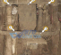 Защита КПП и РКПП MERCEDES-BENZ Sprinter W907 (2023+) 2,2D 4x4 0