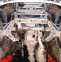 Защита двигателя и КПП KIA Grand Sportage (1999-2007) 2,0 0