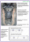 Захист КПП MERCEDES-BENZ S-class W220 (2002-2005) 5,0 4matic 5