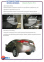Фаркоп быстросъемный HYUNDAI Elantra 5 (2011-2015) 3