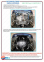 Защита двигателя и КПП GEELY MK Cross (2012+) 1,5 МКПП 0