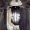 Захист КПП BMW F06 (2016+) 3,0D; 4х4